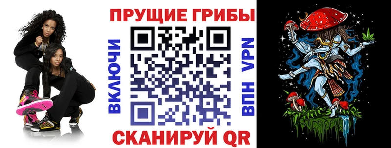Псилоцибиновые грибы прущие грибы  Ардатов 